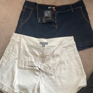 New York and Company shorts